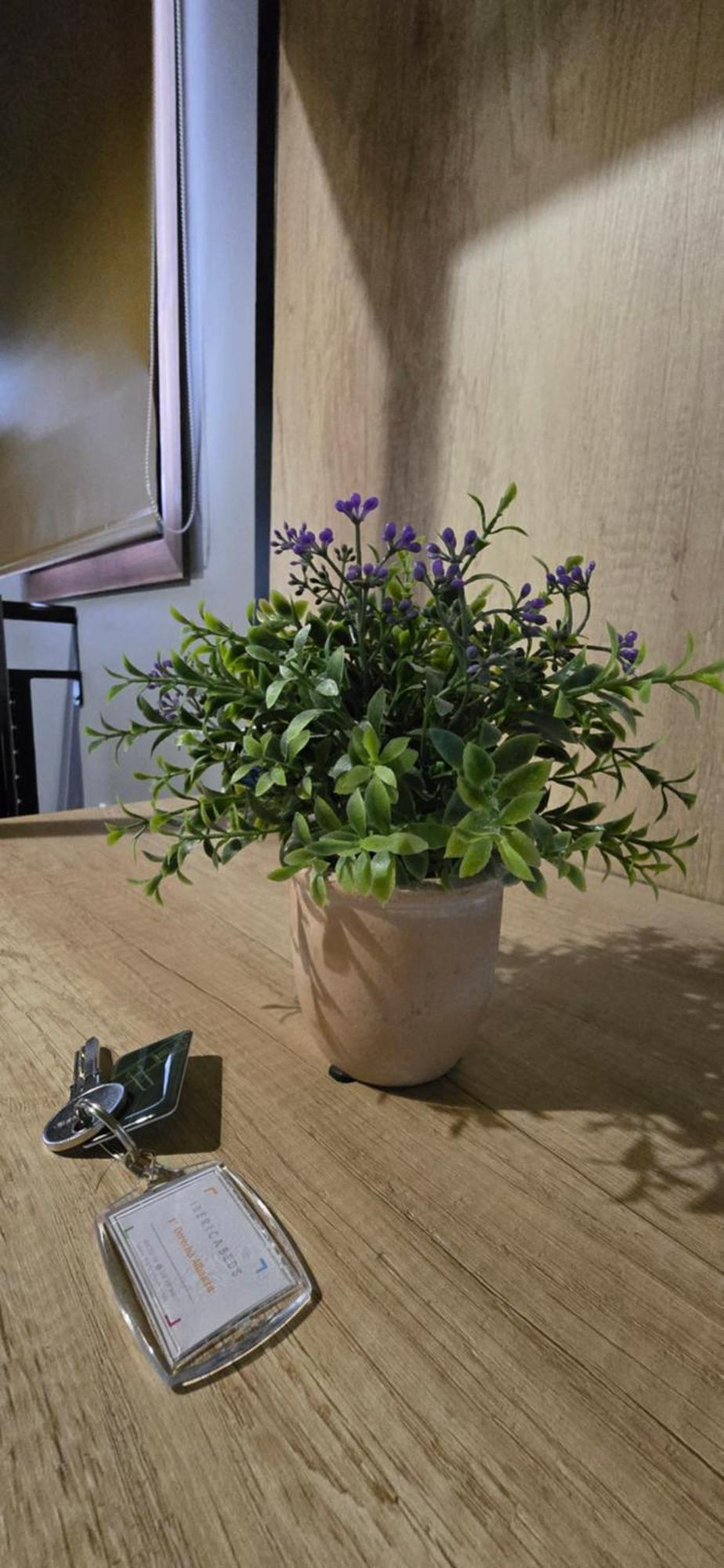 Apartament Ibericabeds Albaicin Grenada Zewnętrze zdjęcie
